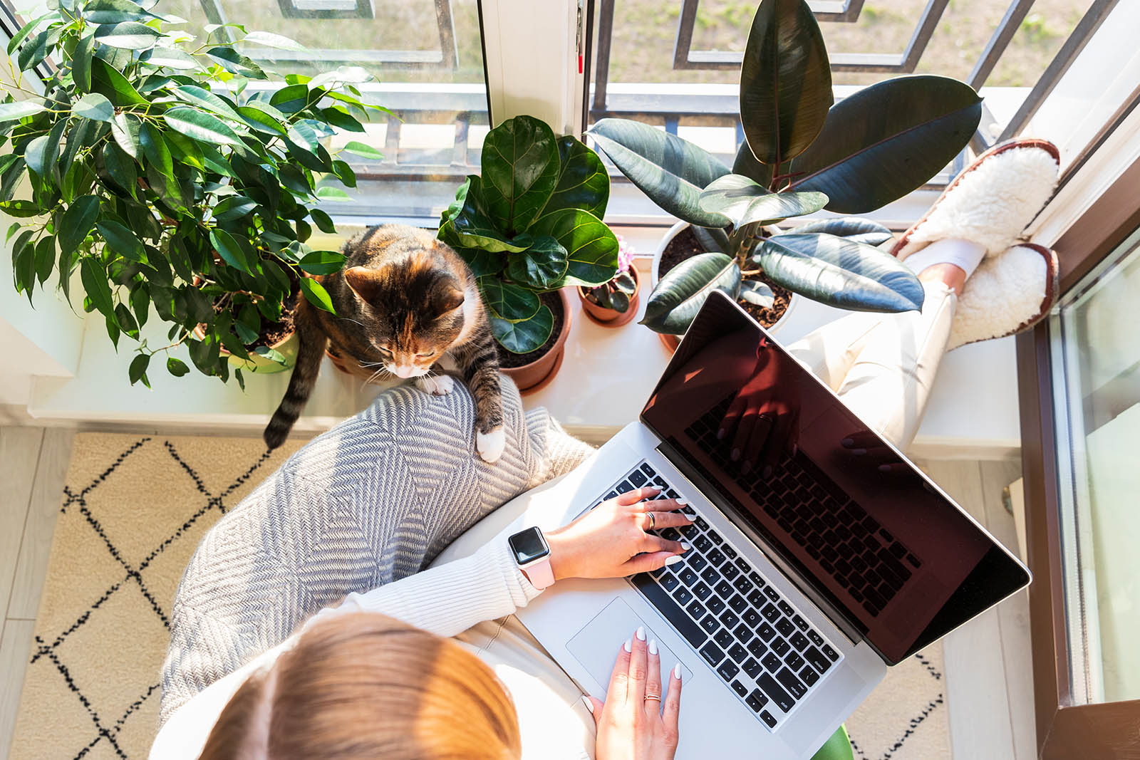 Trabaja Remoto y Coworking: La Combinación Perfecta para Empresas y Empleados